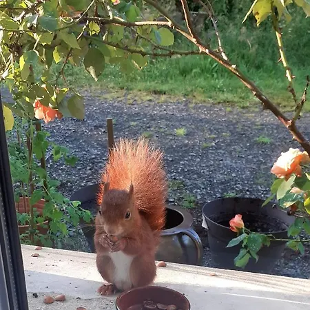 فندق مبيت وإفطار La Fermette - D'hotes Dans Environnement Calme Et Arbore Saint-Jean-des-Baisants