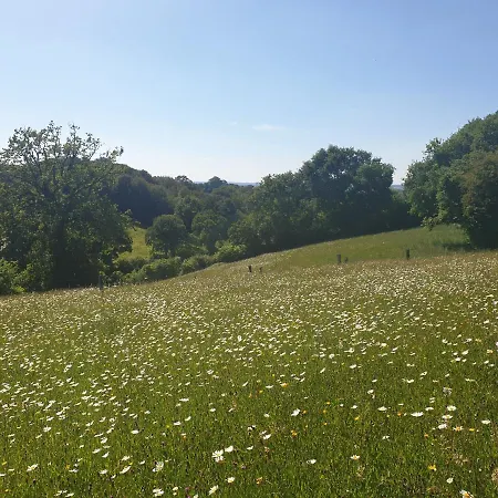 La Fermette - D'hotes Dans Environnement Calme Et Arbore * Saint-Jean-des-Baisants