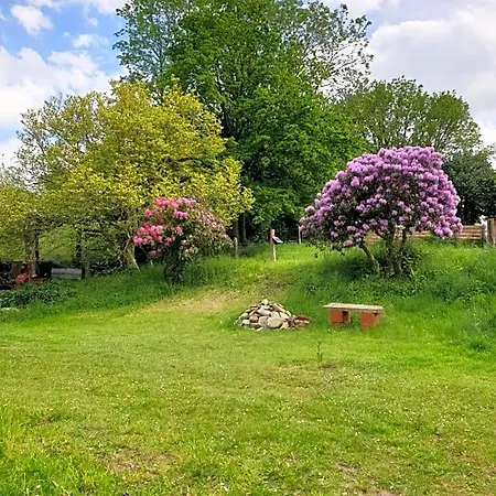 Bed & Breakfast La Fermette - D'hotes Dans Environnement Calme Et Arbore Saint-Jean-des-Baisants