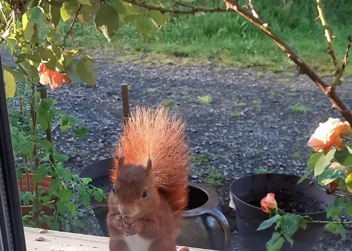 Bed & Breakfast La Fermette - D'hotes Dans Environnement Calme Et Arbore Saint-Jean-des-Baisants