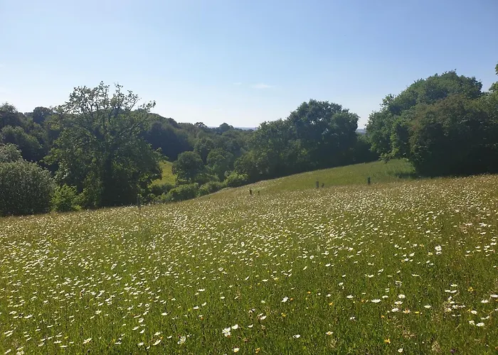 La Fermette - D'hotes Dans Environnement Calme Et Arbore * Saint-Jean-des-Baisants